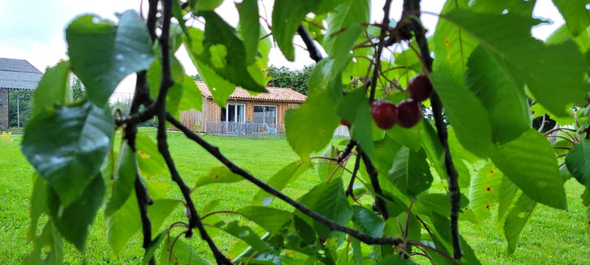 Le Wacapou Villa Courpignac Bagian luar foto
