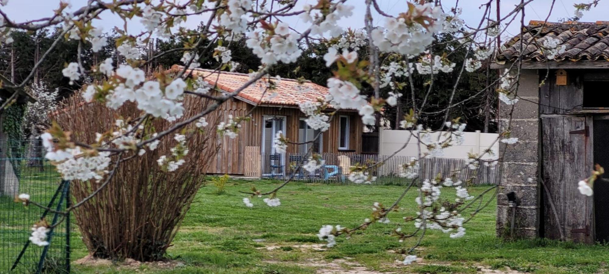 Le Wacapou Villa Courpignac Bagian luar foto